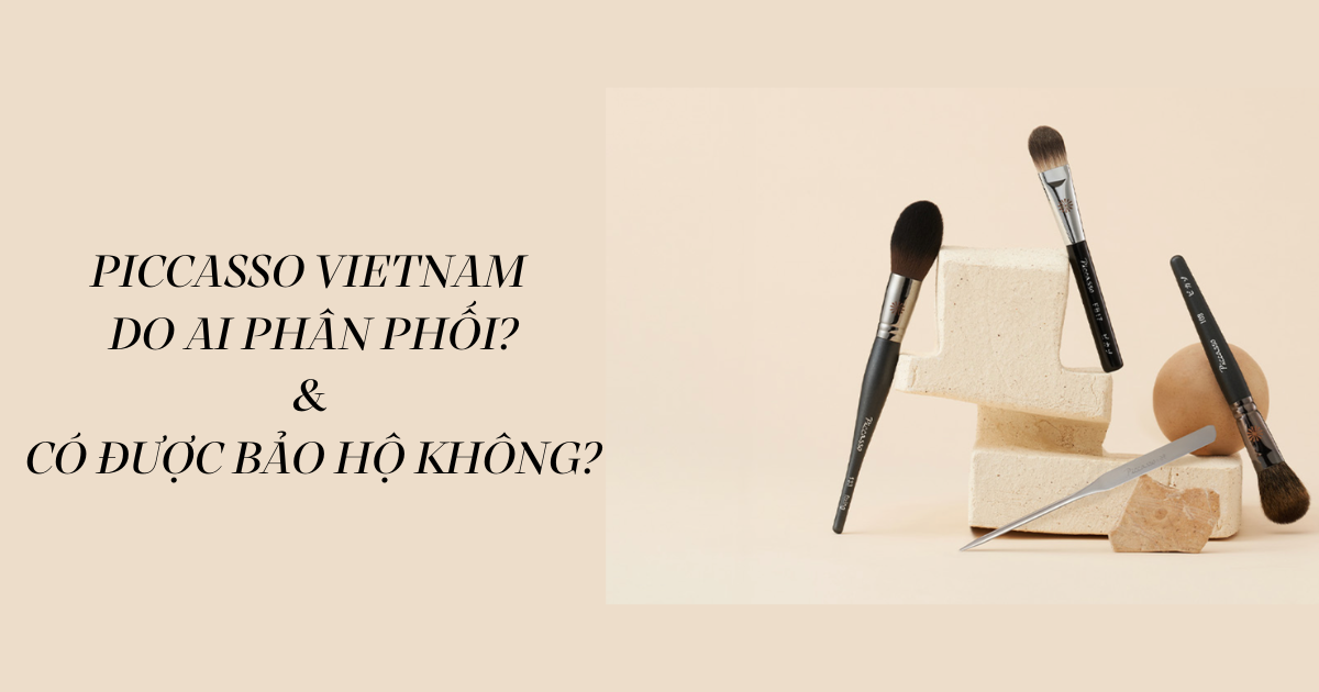 Piccasso Việt Nam: Do ai phân phối? Có được bảo hộ không?