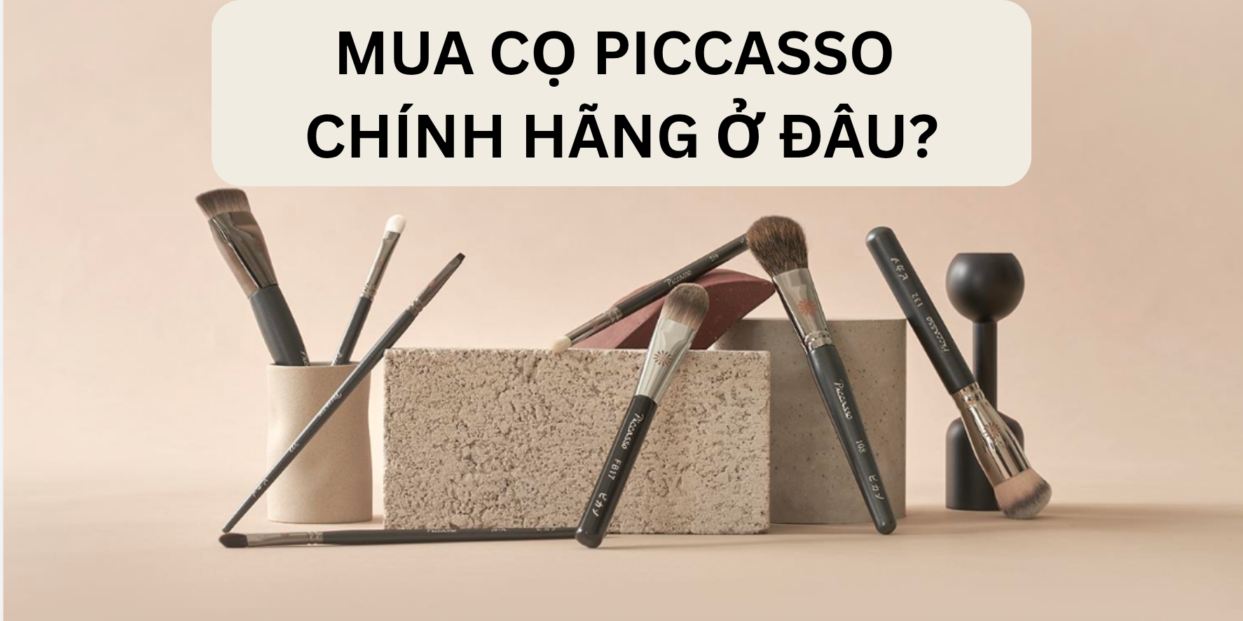 Mua Cọ PICCASSO Chính Hãng Ở Đâu? Danh Sách Kênh Mua Chính Thức